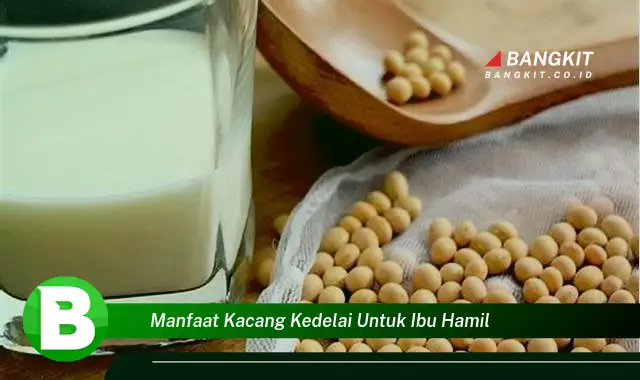 Temukan Manfaat Kacang Kedelai yang Wajib Ibu Hamil Intip!