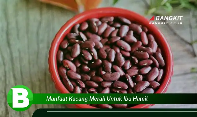 Ketahui Manfaat Kacang Merah untuk Ibu Hamil yang Wajib Kamu Tau