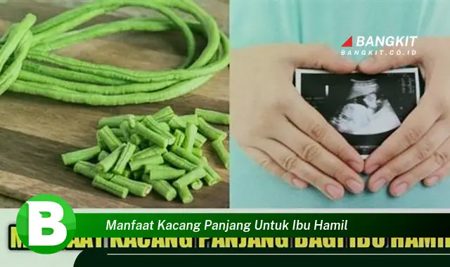 Temukan Manfaat Kacang Panjang untuk Ibu Hamil yang Wajib Kamu Tau