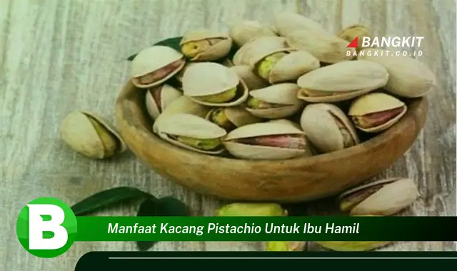 Temukan Manfaat Kacang Pistachio Untuk Ibu Hamil yang Wajib Kamu Intip