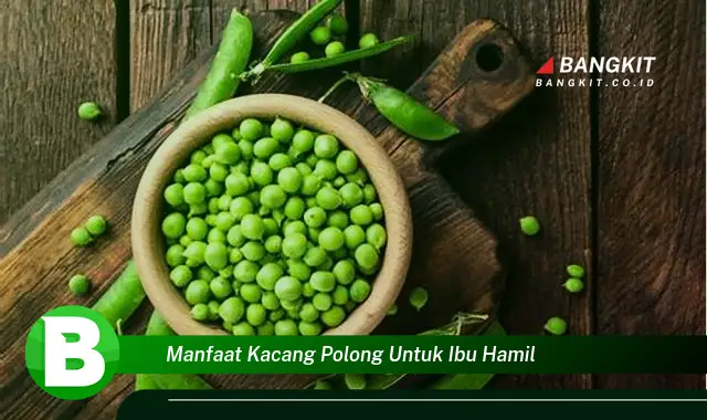 Temukan Manfaat Kacang Polong untuk Ibu Hamil yang Bikin Kamu Penasaran