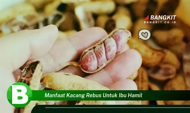 Intip Manfaat Kacang Rebus untuk Ibu Hamil yang Bikin Kamu Penasaran