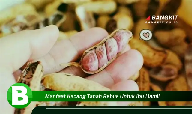 Temukan Manfaat Kacang Tanah Rebus untuk Ibu Hamil yang Wajib Kamu Tau