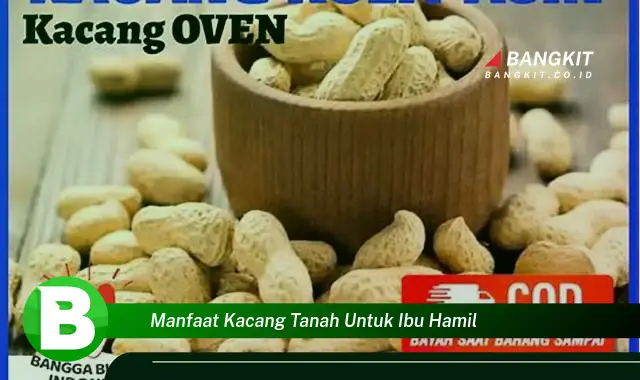 Temukan Manfaat Kacang Tanah untuk Ibu Hamil yang Bikin Kamu Penasaran