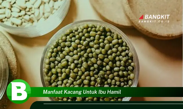 Ketahui Manfaat Kacang untuk Ibu Hamil yang Wajib Kamu Tau!