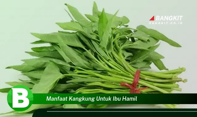 Temukan Manfaat Kangkung untuk Ibu Hamil yang Bikin Kamu Penasaran