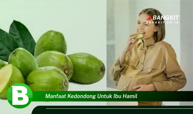 Temukan Manfaat Kedondong yang Wajib Kamu Intip untuk Ibu Hamil