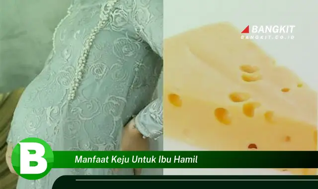 Intip Manfaat Keju untuk Ibu Hamil yang Bikin Kamu Penasaran