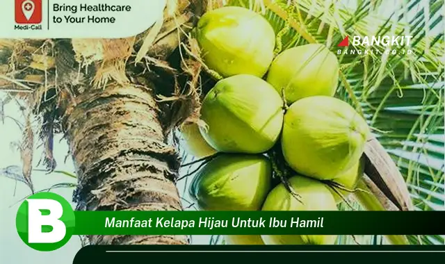 Temukan Manfaat Kelapa Hijau untuk Ibu Hamil yang Wajib Kamu Tahu