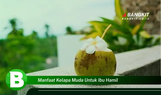 Temukan Manfaat Kelapa Muda untuk Ibu Hamil yang Bikin Kamu Penasaran