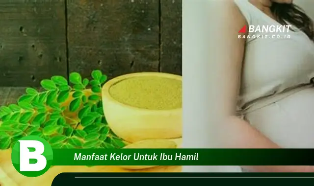 Ketahui Manfaat Kelor untuk Ibu Hamil yang Bikin Kamu Penasaran