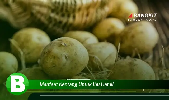 Intip Manfaat Kentang untuk Ibu Hamil yang Wajib Kamu Tahu