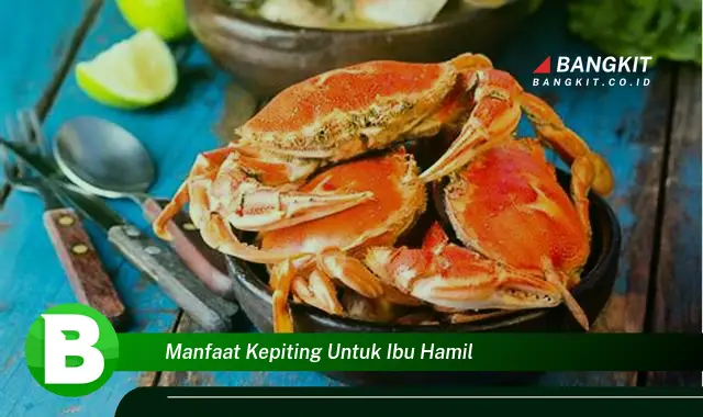 Temukan Manfaat Kepiting untuk Ibu Hamil yang Wajib Kamu Intip