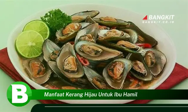 Intip Manfaat Kerang Hijau untuk Ibu Hamil