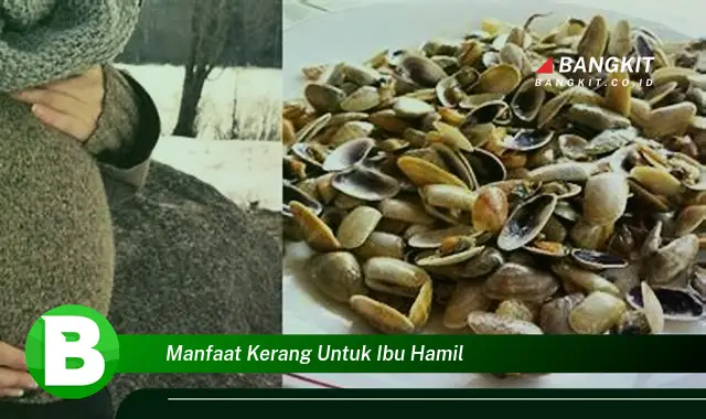 Temukan Manfaat Kerang untuk Ibu Hamil yang Bikin Kamu Penasaran