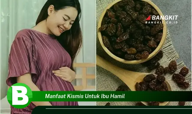 Intip Manfaat Kismis untuk Ibu Hamil yang Bikin Kamu Penasaran