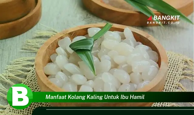 Temukan Manfaat Kolang Kaling untuk Ibu Hamil yang Mencengangkan