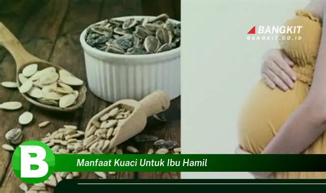 Ketahui Manfaat Kuaci untuk Ibu Hamil yang Bikin Kamu Penasaran