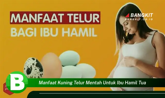 Intip Manfaat Kuning Telur Mentah untuk Ibu Hamil Tua yang Bikin Kamu Penasaran