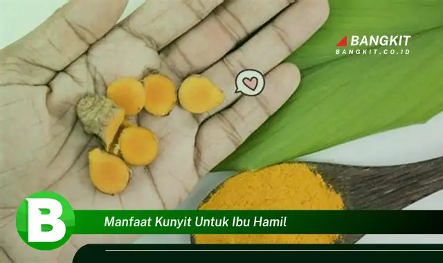 Ketahui Manfaat Kunyit untuk Ibu Hamil yang Wajib Kamu Intip