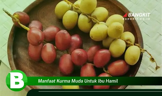 Intip Manfaat Ajaib Kurma Muda untuk Ibu Hamil yang Wajib Kamu Tau