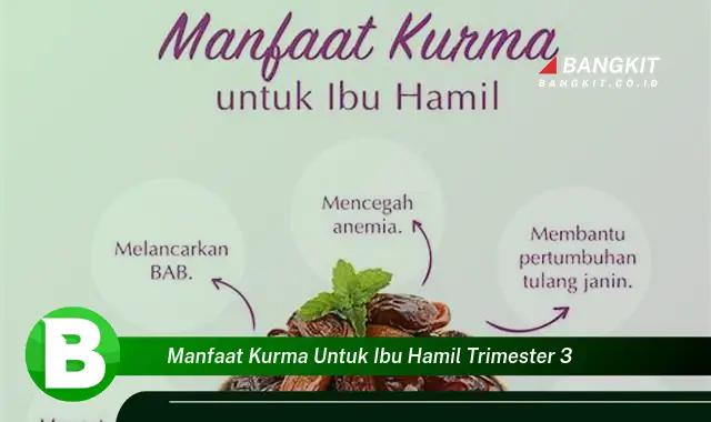 Ketahui Manfaat Kurma untuk Ibu Hamil Trimester 3 yang Wajib Kamu Tau