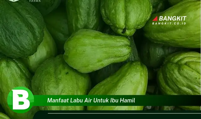 Temukan Manfaat Labu Air untuk Ibu Hamil yang Bikin Kamu Penasaran