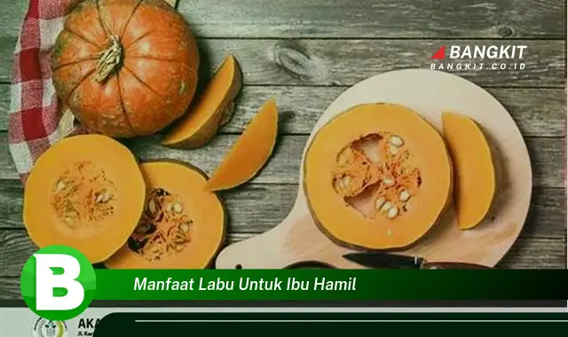 Ketahui Manfaat Labu untuk Ibu Hamil yang Wajib Kamu Intip