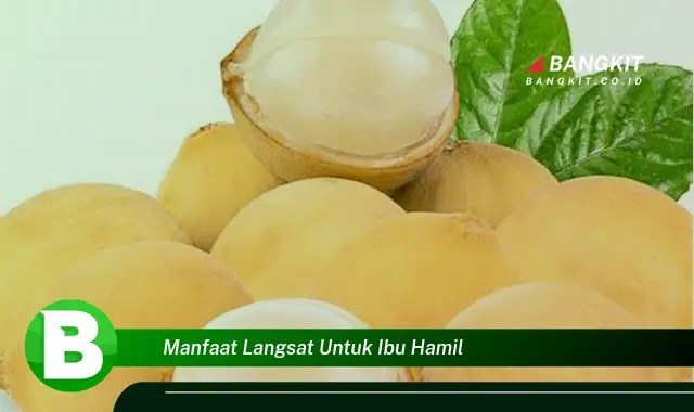 Ketahui Manfaat Langsat yang Bikin Ibu Hamil Penasaran