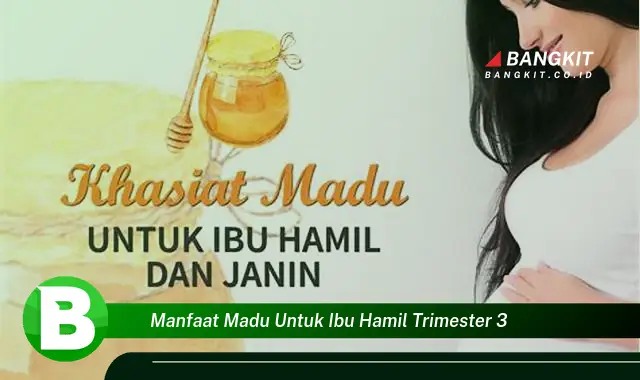 Intip Manfaat Madu untuk Ibu Hamil Trimester 3 yang Bikin Kamu Penasaran