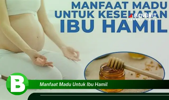 Intip Manfaat Madu yang Bikin Ibu Hamil Penasaran!