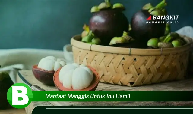 Ketahui Manfaat Manggis untuk Ibu Hamil yang Wajib Kamu Intip