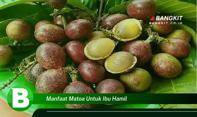 Temukan Manfaat Buah Matoa untuk Ibu Hamil yang Wajib Kamu Ketahui