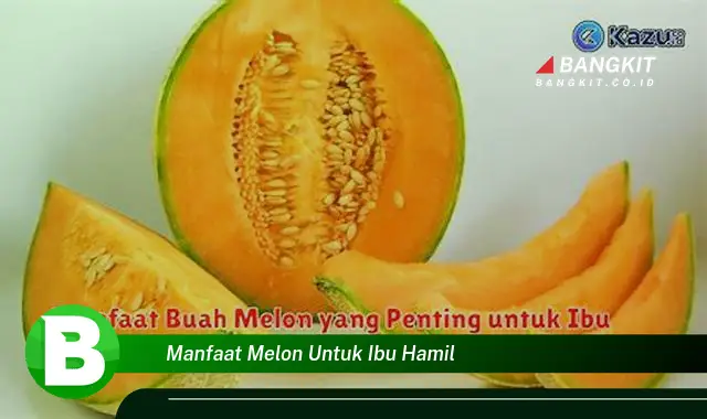 Temukan Manfaat Melon untuk Ibu Hamil yang Wajib Kamu Tahu