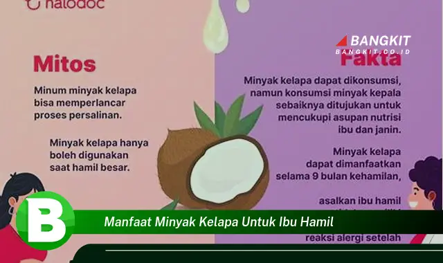 Temukan Manfaat Minyak Kelapa yang Bikin Kamu Penasaran untuk Ibu Hamil