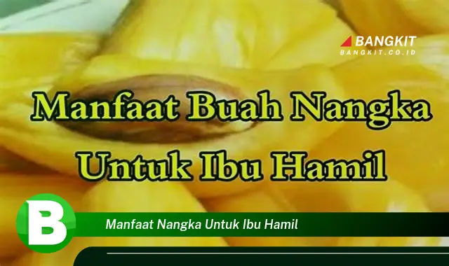 Ketahui Manfaat Nangka untuk Ibu Hamil yang Wajib Kamu Tau