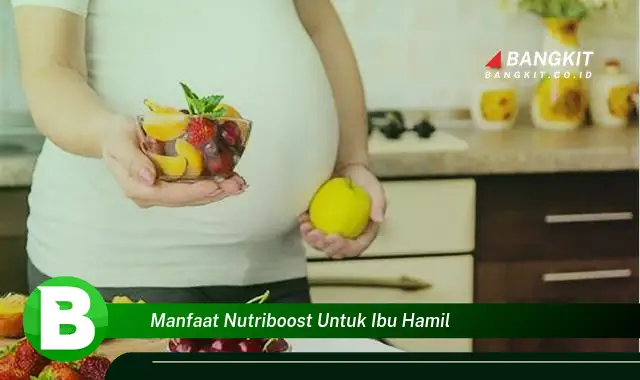 Temukan Manfaat Nutriboost untuk Ibu Hamil yang Bikin Kamu Penasaran