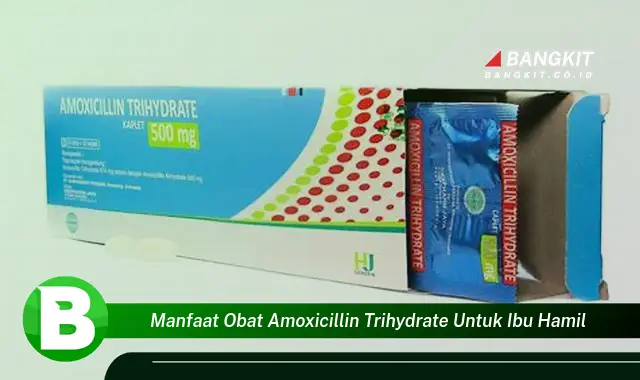 Temukan Manfaat Amoxicillin Trihydrate untuk Ibu Hamil yang Bikin Kamu Penasaran