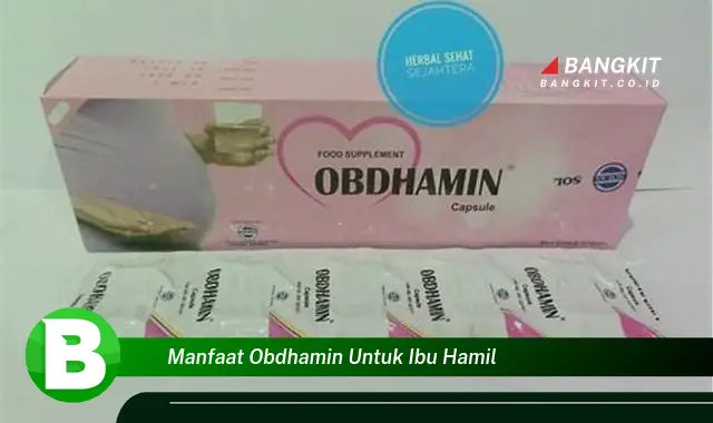 Ketahui Manfaat Obdhamin untuk Ibu Hamil yang Bikin Kamu Penasaran