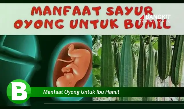 Temukan Manfaat Oyong untuk Ibu Hamil yang Wajib Kamu Intip