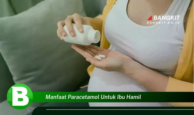 Ketahui Manfaat Paracetamol untuk Ibu Hamil yang Wajib Kamu Tau