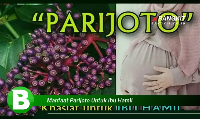 Intip Manfaat Parijoto untuk Ibu Hamil yang Wajib Kamu Intip