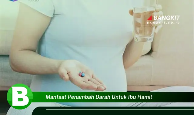 Temukan Manfaat Penambah Darah Untuk Ibu Hamil yang Bikin Kamu Penasaran