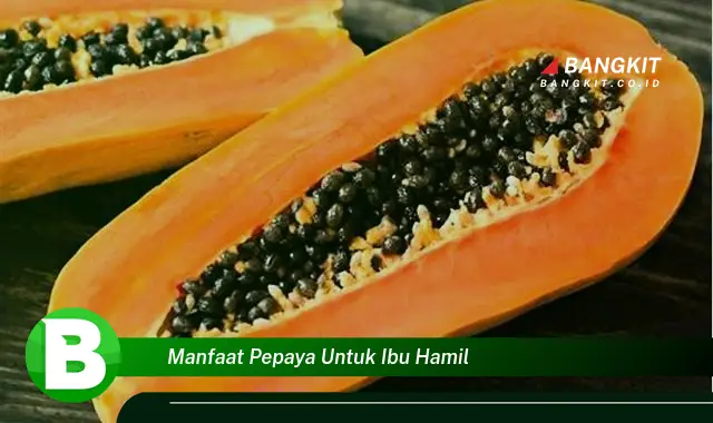 Temukan Manfaat Pepaya untuk Ibu Hamil yang Wajib Kamu Tau