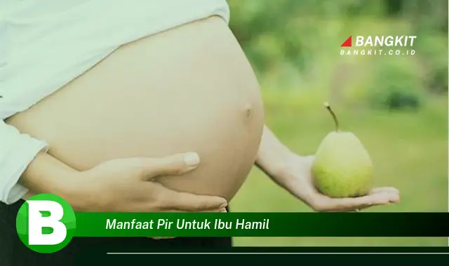 Ketahui Manfaat Pir untuk Ibu Hamil yang Bikin Kamu Penasaran