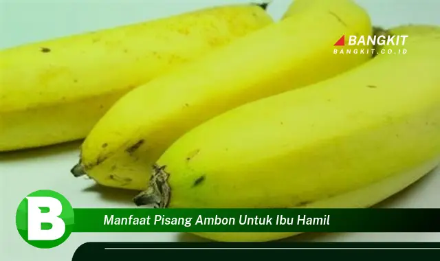 Temukan Manfaat Pisang Ambon untuk Ibu Hamil yang Bikin Kamu Penasaran