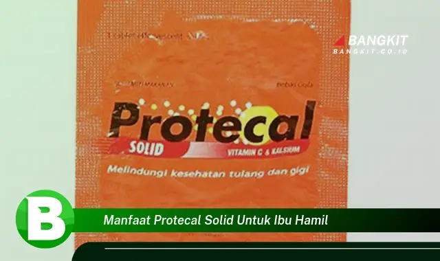 Temukan Manfaat ProTecal Solid untuk Ibu Hamil yang Bikin Kamu Penasaran