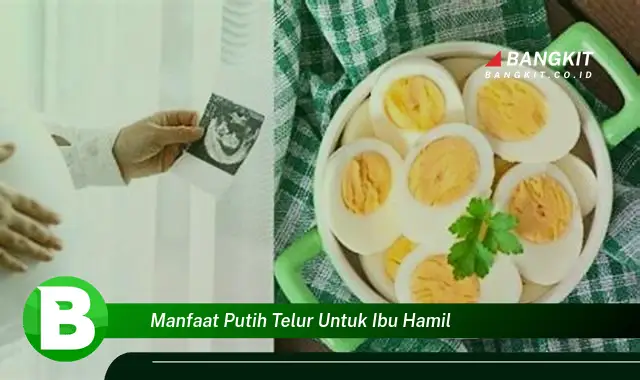 Ketahui Manfaat Putih Telur untuk Ibu Hamil yang Bikin Kamu Penasaran