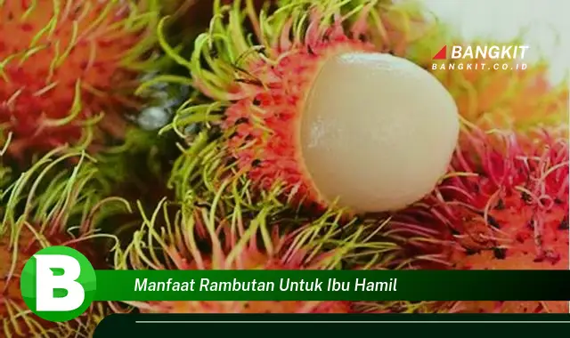 Intip Manfaat Rambutan untuk Ibu Hamil yang Wajib Kamu Tau