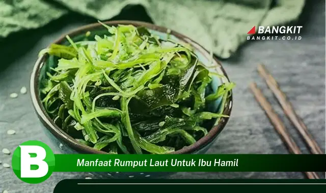 Intip Manfaat Rumput Laut untuk Ibu Hamil yang Bikin Kamu Penasaran!